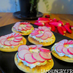 Tartelettes radis tzatziki