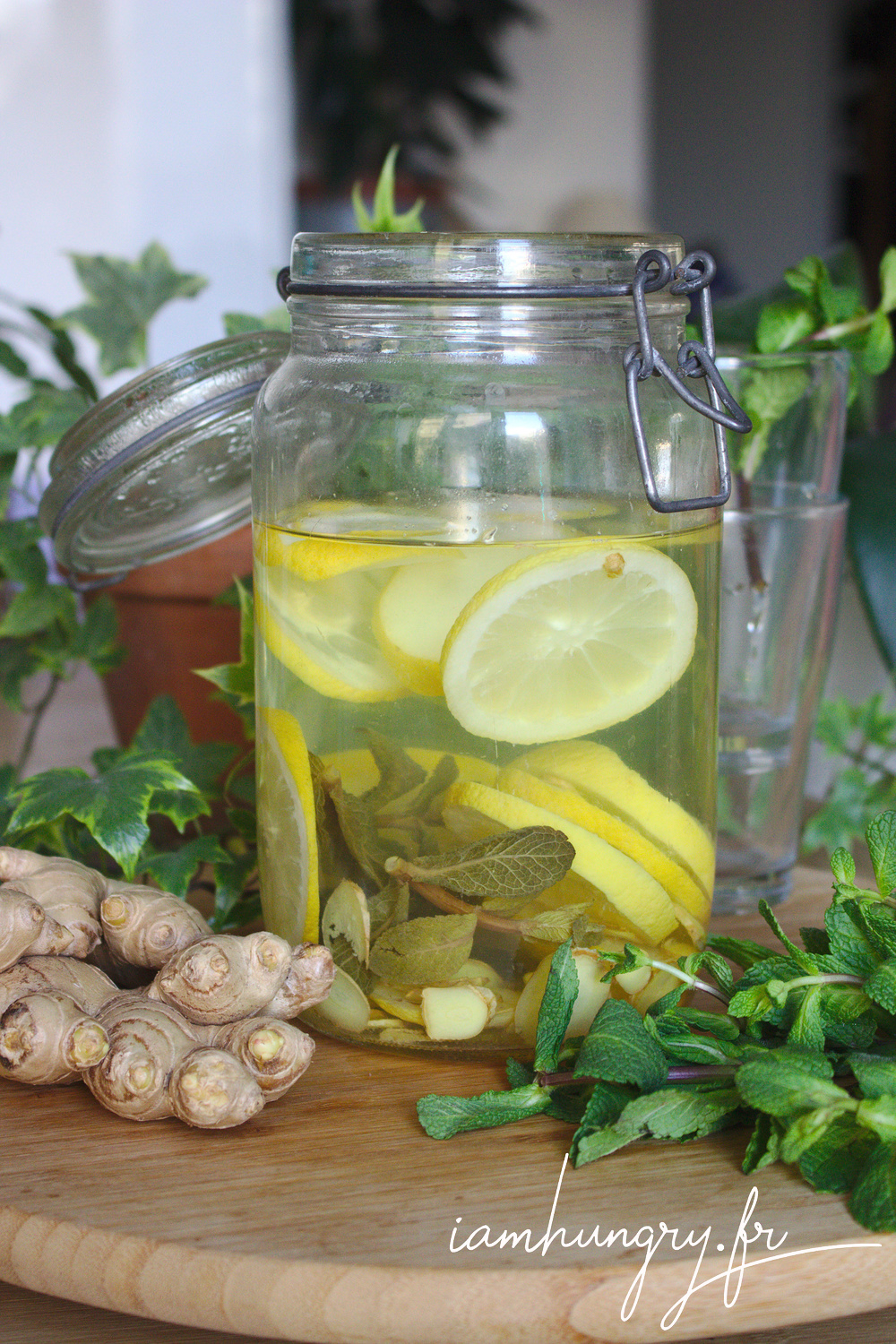 Citronnade menthe gingembre rect