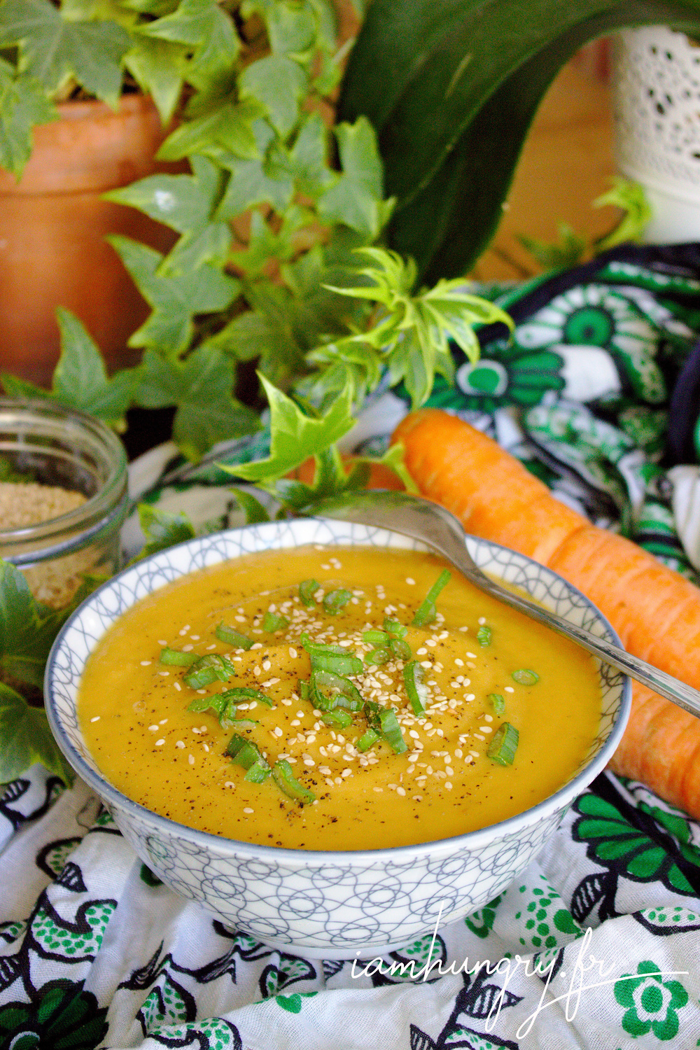 Soupe carotte navet rect