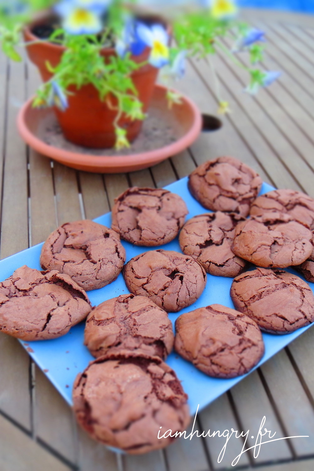 Biscuit chocolat leger