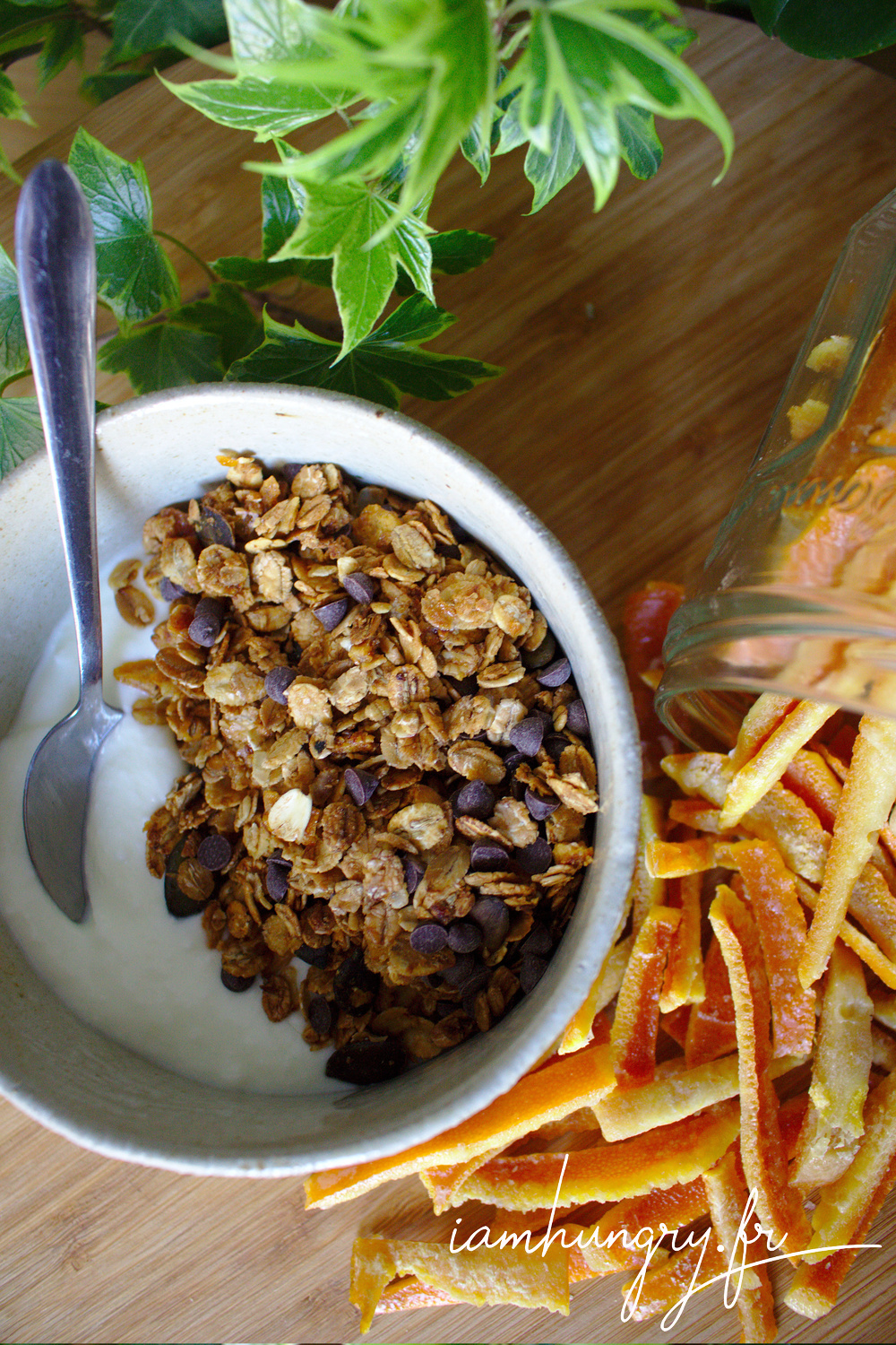 Muesli orange chocolat rect