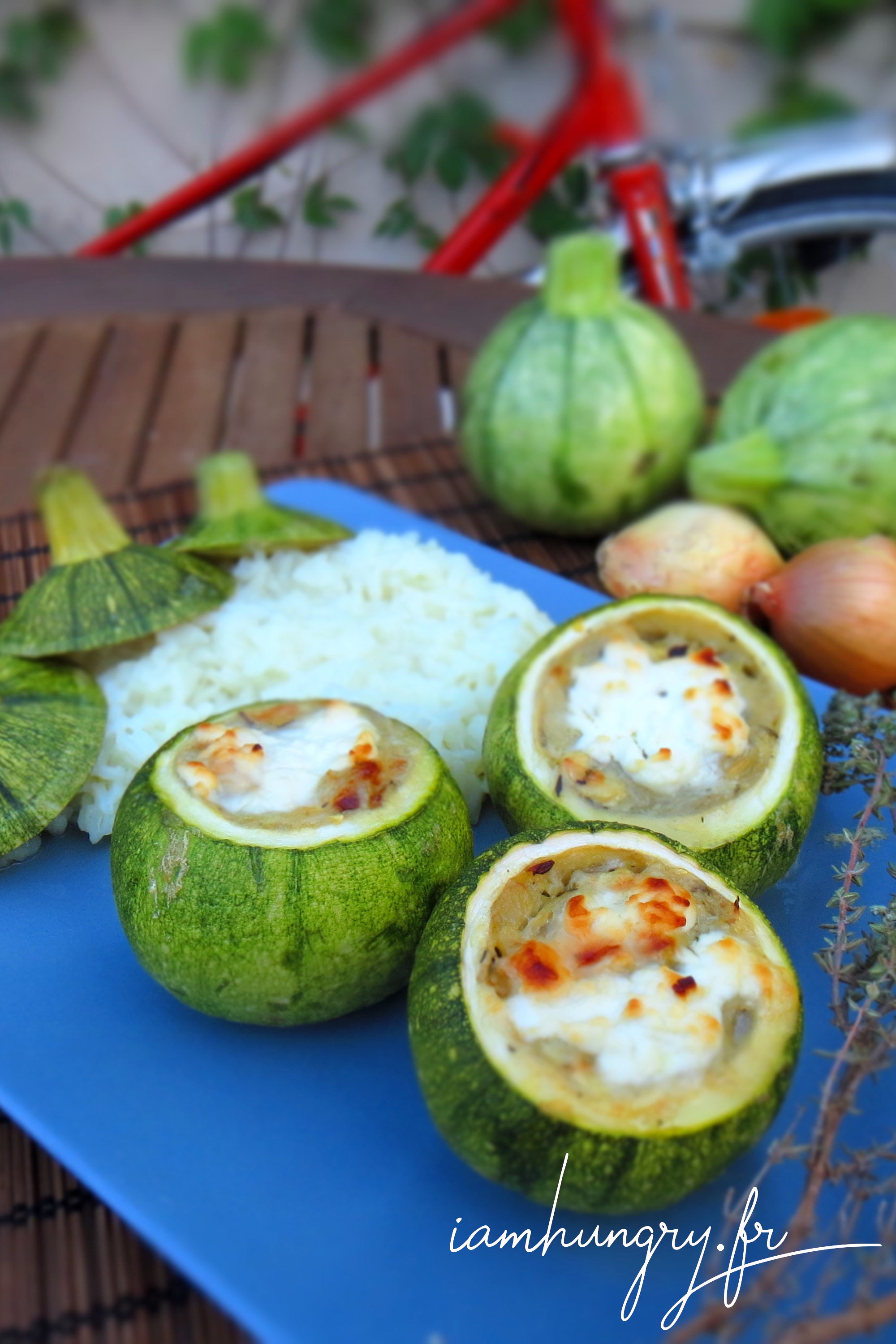 Courgettes rondes farcis aux oignons et au chèvre- IAMHUNGRY